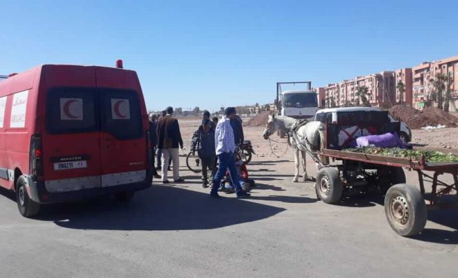 ‎عربة مجرورة تنهي حياة مسنة وسط مدينة سيدي بنور استياء عارم للساكنة