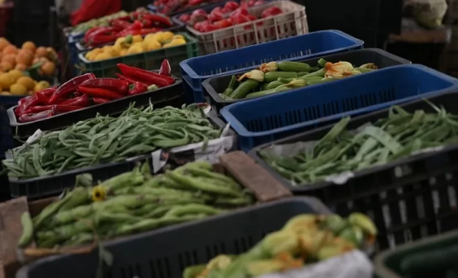 أمطار غزيرة تنعش آمال الفلاحين .. وتوقعات بتراجع أسعار الخضر قبل رمضان