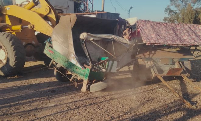 السلطات المحلية بالزمامرة  تشن حملة ضد العربات المجرورة بالدواب