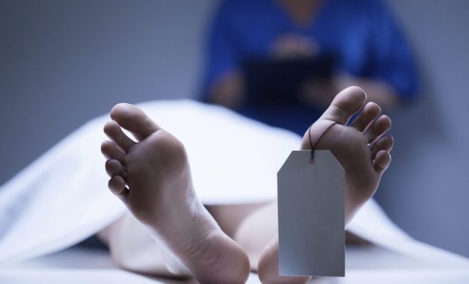 جثة معلقة بشجرة مكبلة اليدين والرجلين تستنفر سلطات طنجة