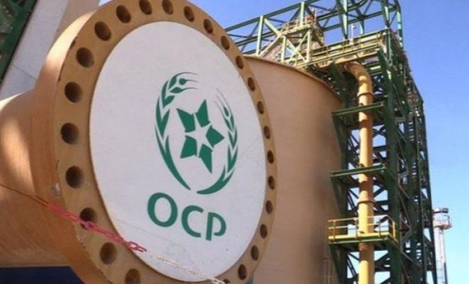 حلول تغذية النباتات المشخصة..المكتب الشريف للفوسفاط يطلق فرعه الجديد “OCP Nutricrops”