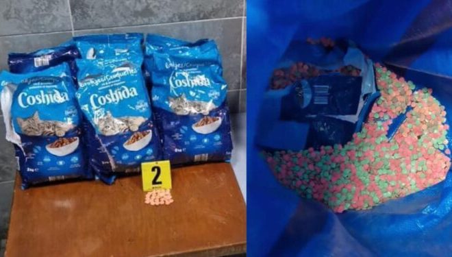 إحباط 209 ألف من حبوب إكستازي بطنجة مخبأة بطعام قطط