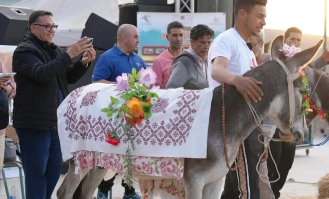 غياب الدعم يهدد أشهر كرنفال للحمير ببني عمار زرهون نواحي مكناس