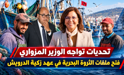 الثروة البحرية تحت المجهر.. هل يفتح المزواري ملفات عهد الوزيرة السابقة زكية الدرويش؟